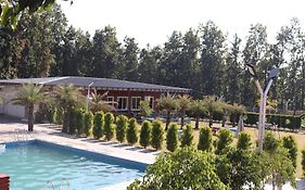 Birsani Cafe
